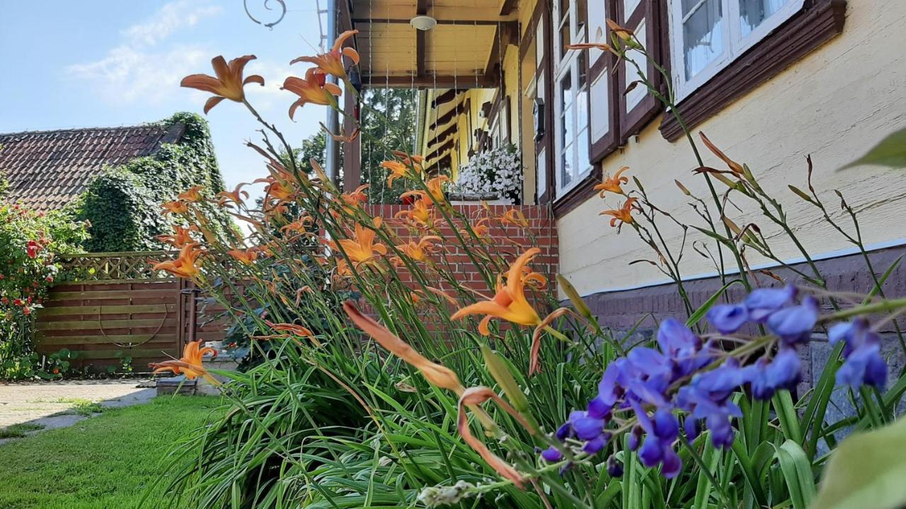 Orzechowy Dworek Nowy Dwór Gdański Dış mekan fotoğraf