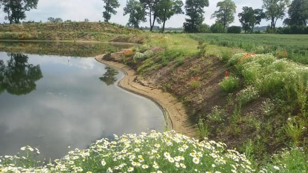 Orzechowy Dworek Nowy Dwór Gdański Dış mekan fotoğraf
