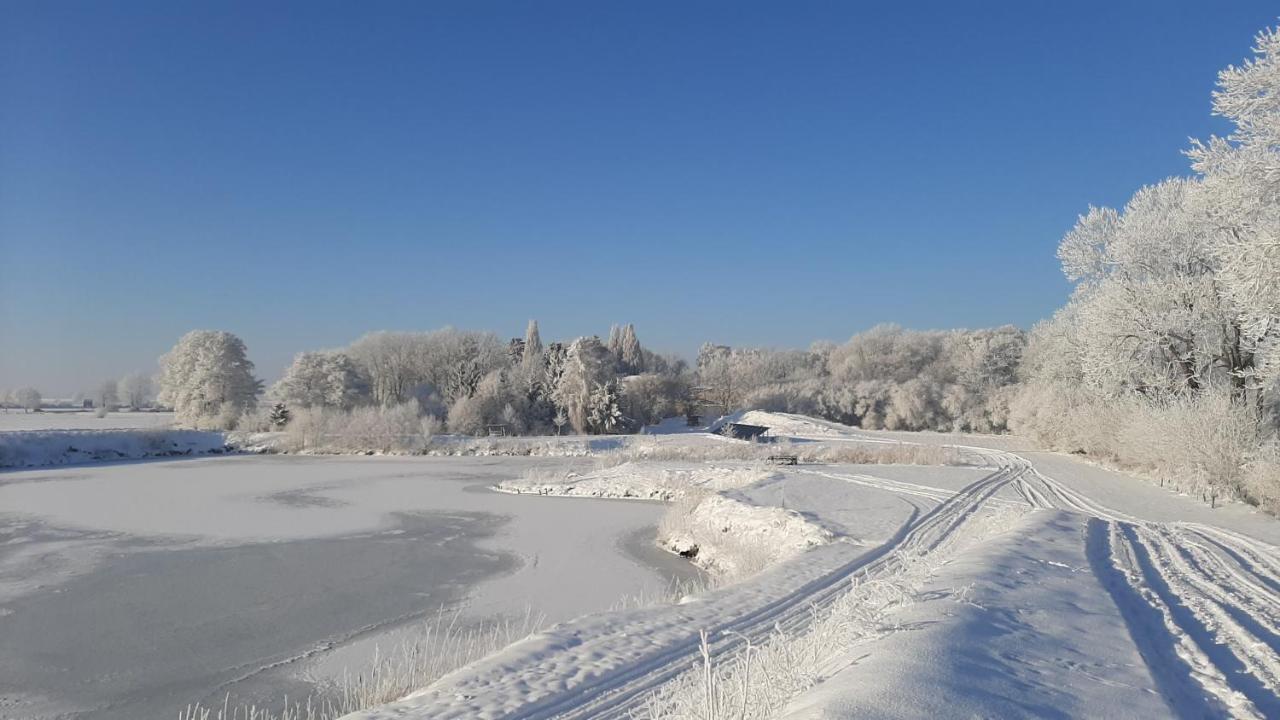 Orzechowy Dworek Nowy Dwór Gdański Dış mekan fotoğraf